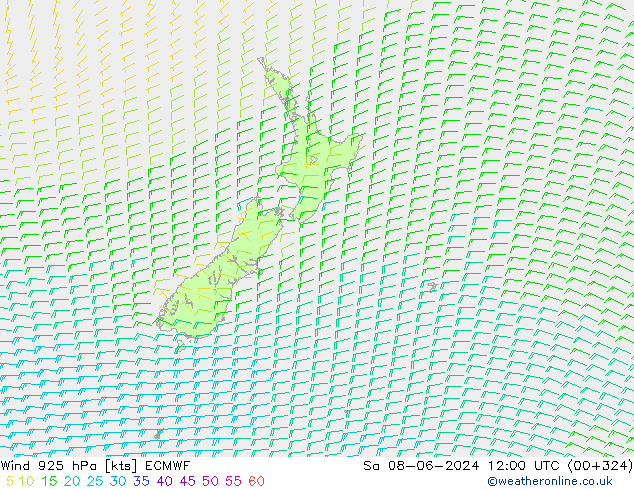 Wind 925 hPa ECMWF Sa 08.06.2024 12 UTC