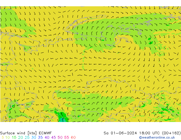 wiatr 10 m ECMWF so. 01.06.2024 18 UTC