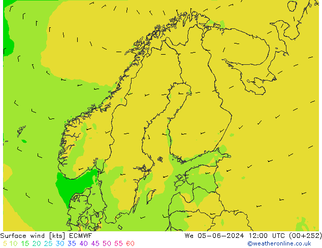 Wind 10 m ECMWF wo 05.06.2024 12 UTC