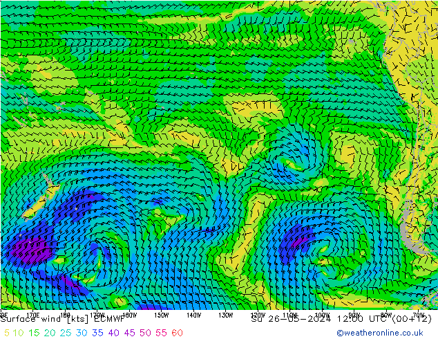 Surface wind ECMWF Su 26.05.2024 12 UTC