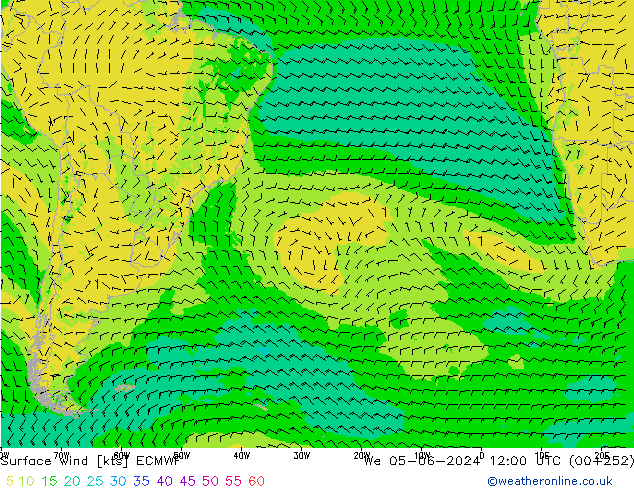 Surface wind ECMWF We 05.06.2024 12 UTC