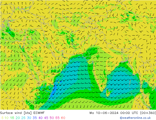 Rüzgar 10 m ECMWF Pzt 10.06.2024 00 UTC