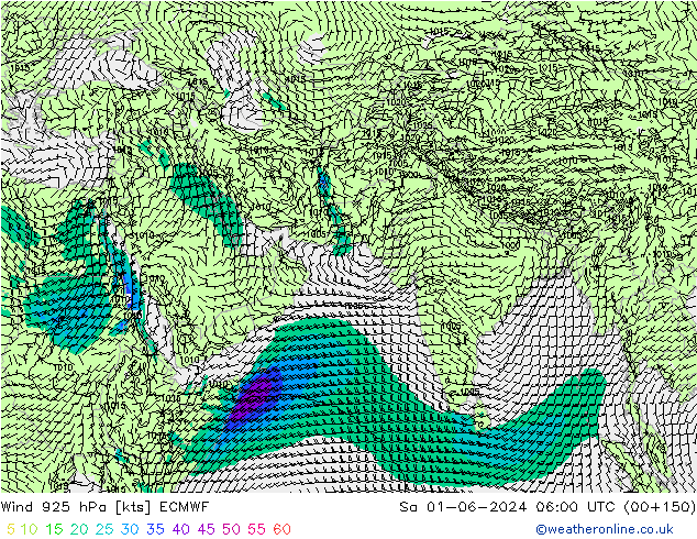 Wind 925 hPa ECMWF za 01.06.2024 06 UTC