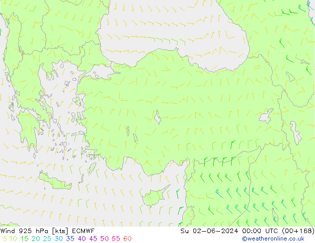 wiatr 925 hPa ECMWF nie. 02.06.2024 00 UTC