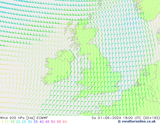 Vento 925 hPa ECMWF sab 01.06.2024 18 UTC