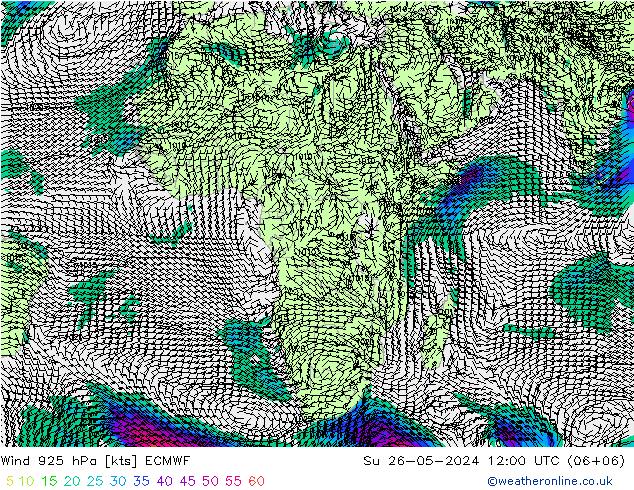  925 hPa ECMWF  26.05.2024 12 UTC