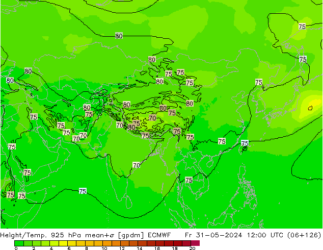 Yükseklik/Sıc. 925 hPa ECMWF Cu 31.05.2024 12 UTC