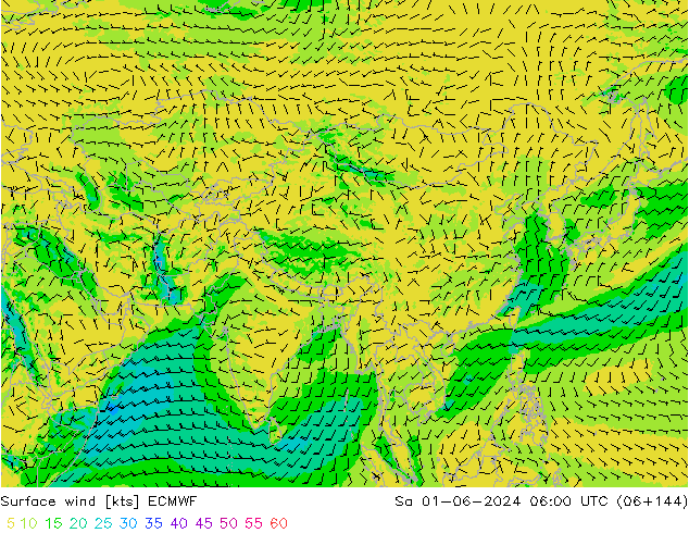 ветер 10 m ECMWF сб 01.06.2024 06 UTC