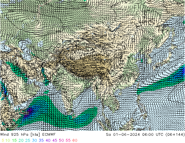 Wind 925 hPa ECMWF So 01.06.2024 06 UTC