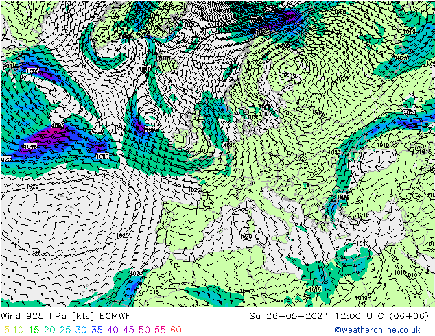 Wind 925 hPa ECMWF Su 26.05.2024 12 UTC