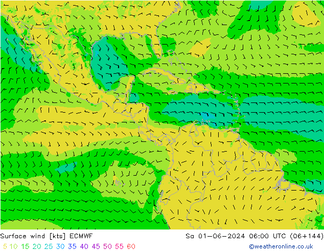 Rüzgar 10 m ECMWF Cts 01.06.2024 06 UTC