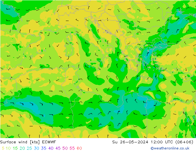 Surface wind ECMWF Ne 26.05.2024 12 UTC