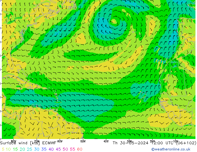 ветер 10 m ECMWF чт 30.05.2024 12 UTC