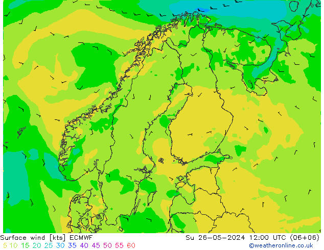 Wind 10 m ECMWF zo 26.05.2024 12 UTC