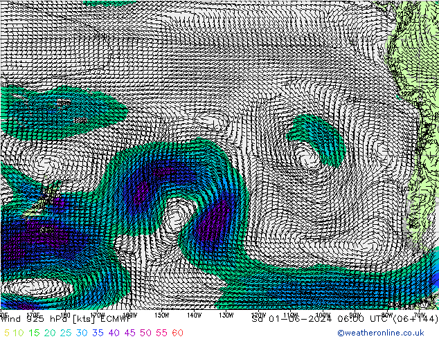 wiatr 925 hPa ECMWF so. 01.06.2024 06 UTC