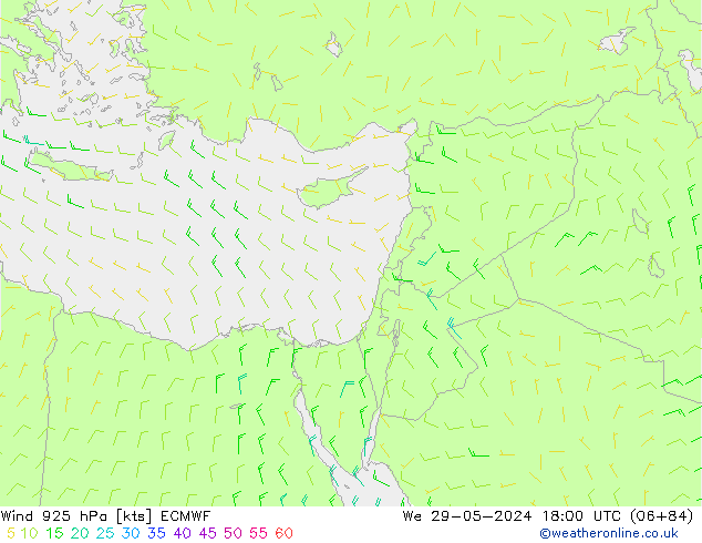 ветер 925 гПа ECMWF ср 29.05.2024 18 UTC