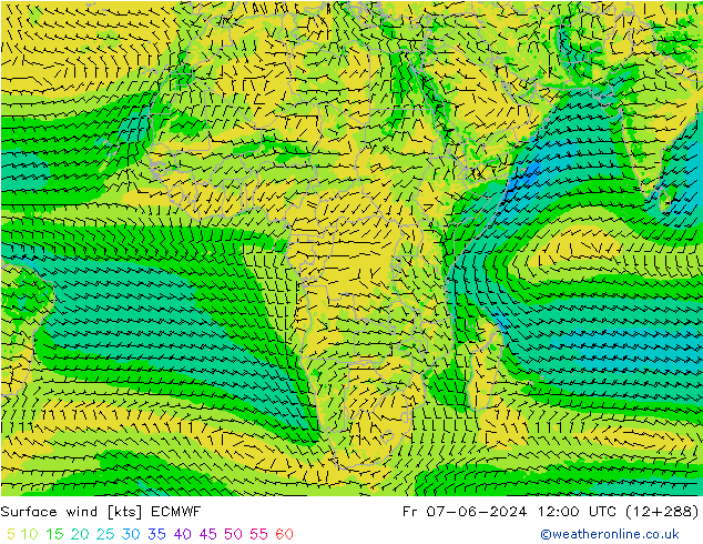 Vent 10 m ECMWF ven 07.06.2024 12 UTC