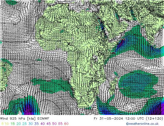  925 hPa ECMWF  31.05.2024 12 UTC