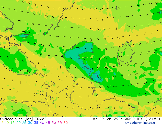 Wind 10 m ECMWF wo 29.05.2024 00 UTC