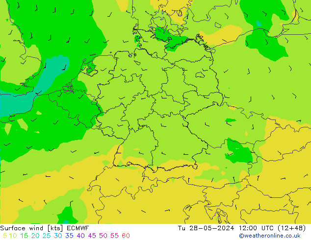 Wind 10 m ECMWF di 28.05.2024 12 UTC