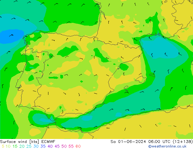 Surface wind ECMWF Sa 01.06.2024 06 UTC