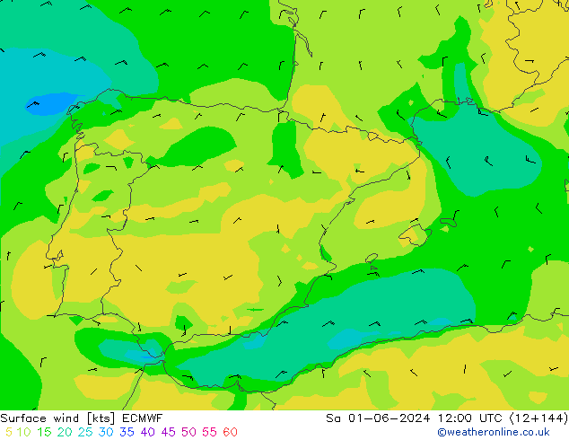 wiatr 10 m ECMWF so. 01.06.2024 12 UTC