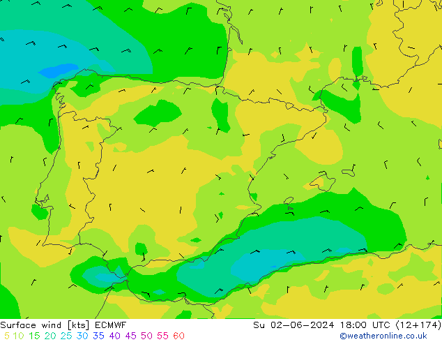 Vent 10 m ECMWF dim 02.06.2024 18 UTC