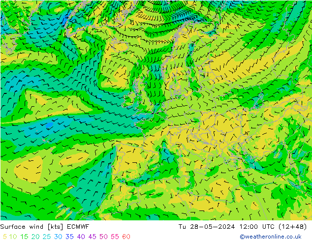 Surface wind ECMWF Tu 28.05.2024 12 UTC