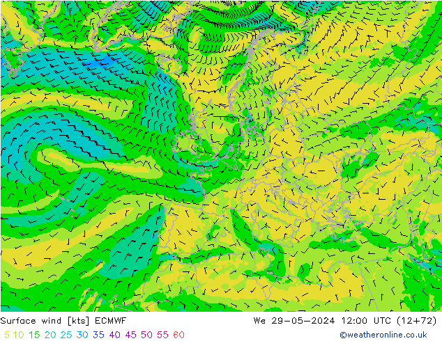 ветер 10 m ECMWF ср 29.05.2024 12 UTC