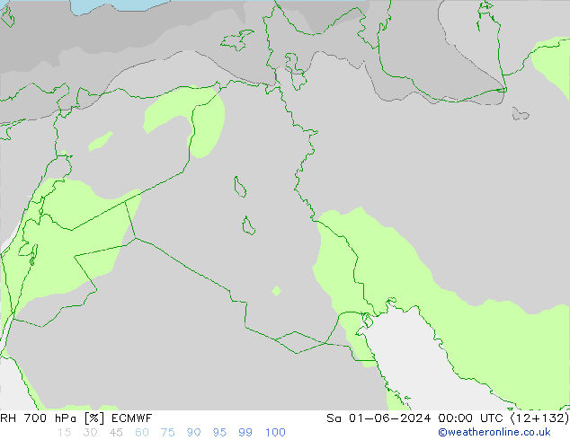 RH 700 hPa ECMWF Sáb 01.06.2024 00 UTC