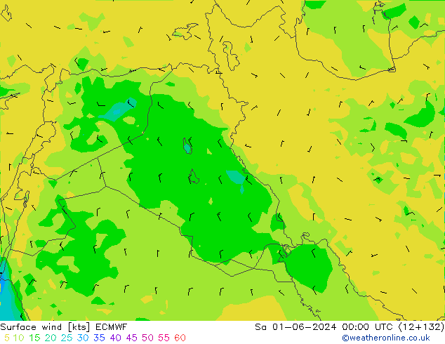 Vento 10 m ECMWF Sáb 01.06.2024 00 UTC