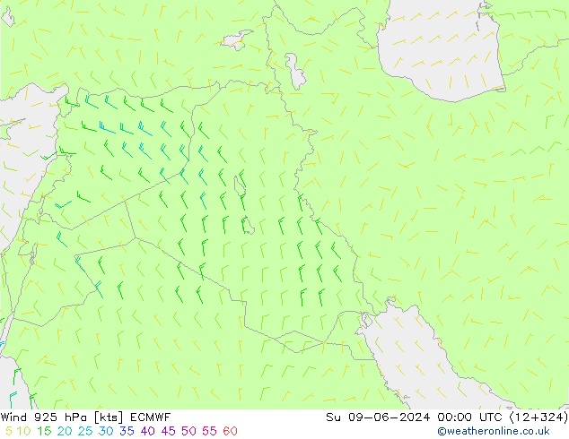 Wind 925 hPa ECMWF Ne 09.06.2024 00 UTC