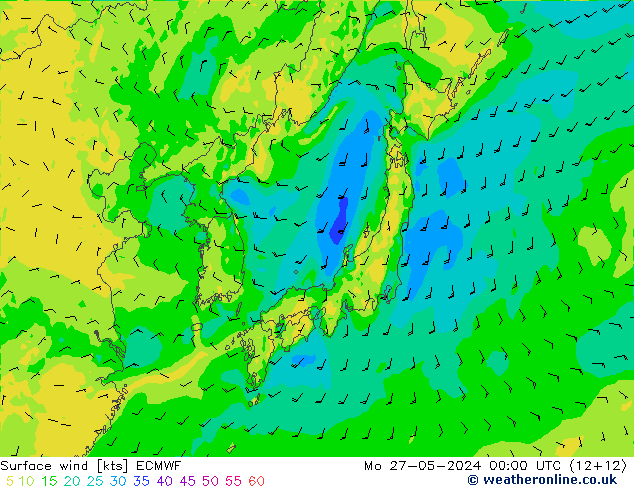 ветер 10 m ECMWF пн 27.05.2024 00 UTC