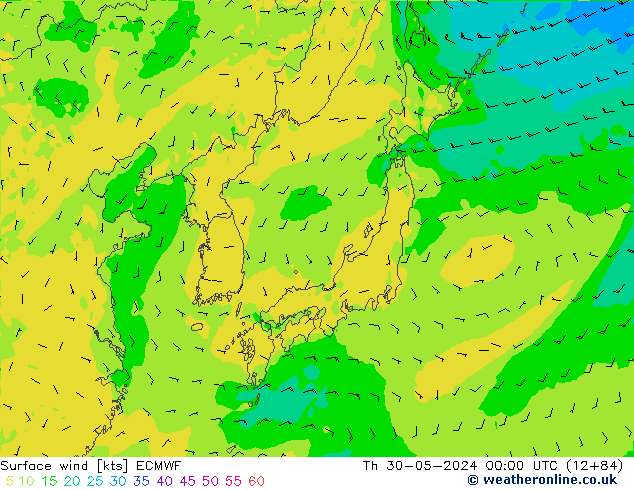 Surface wind ECMWF Th 30.05.2024 00 UTC