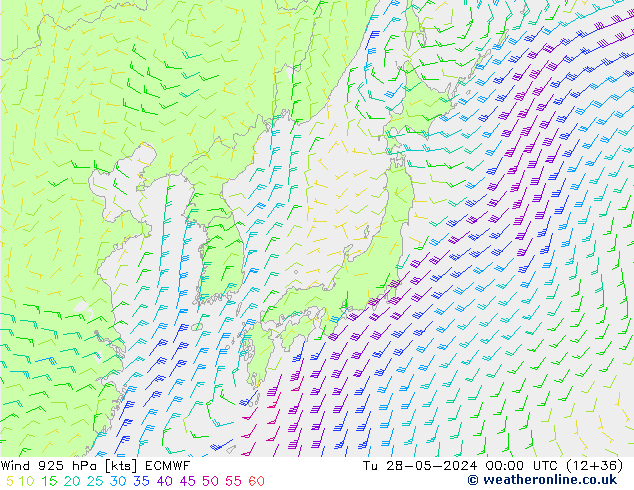 Wind 925 hPa ECMWF di 28.05.2024 00 UTC