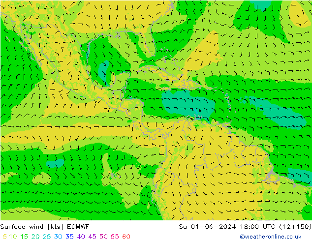 Surface wind ECMWF Sa 01.06.2024 18 UTC