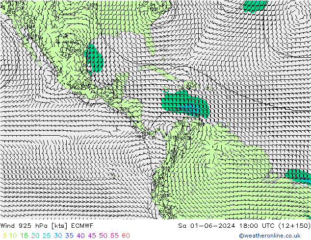 Vento 925 hPa ECMWF sab 01.06.2024 18 UTC