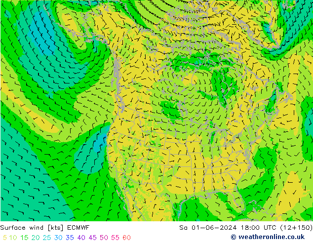 wiatr 10 m ECMWF so. 01.06.2024 18 UTC