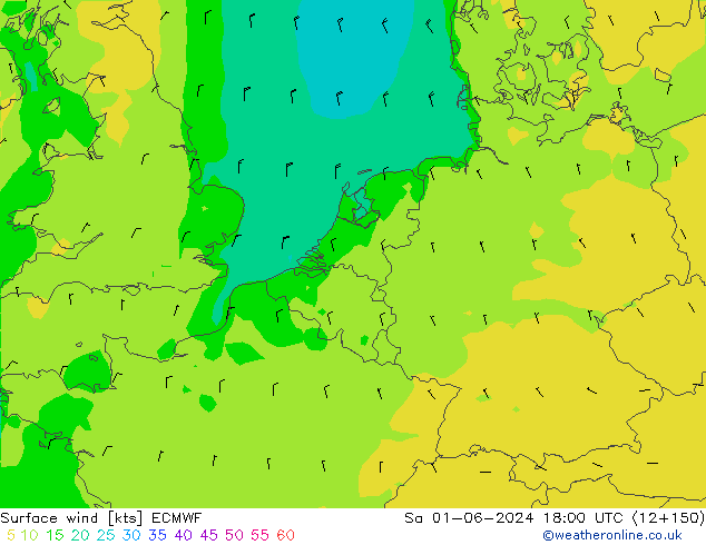 Surface wind ECMWF So 01.06.2024 18 UTC