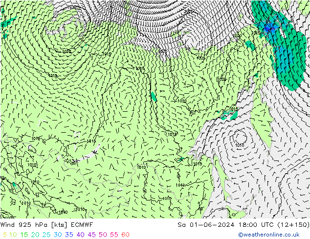 Vento 925 hPa ECMWF sab 01.06.2024 18 UTC