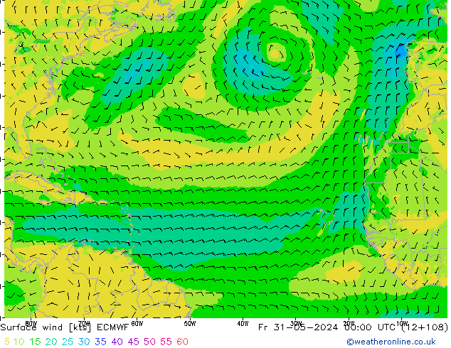 Surface wind ECMWF Pá 31.05.2024 00 UTC