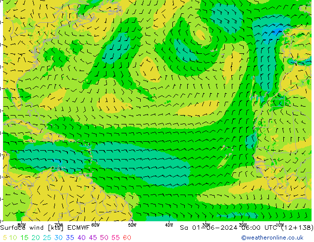 Surface wind ECMWF Sa 01.06.2024 06 UTC