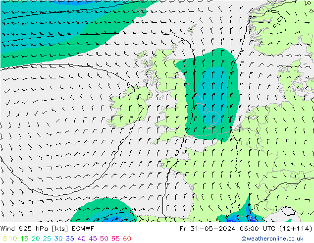 Wind 925 hPa ECMWF Fr 31.05.2024 06 UTC