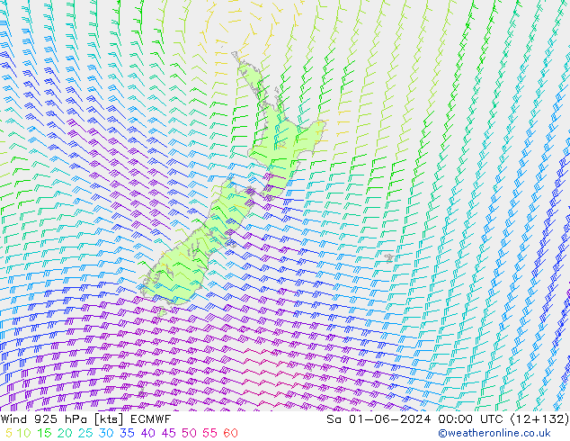 wiatr 925 hPa ECMWF so. 01.06.2024 00 UTC