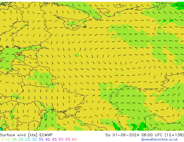 wiatr 10 m ECMWF so. 01.06.2024 06 UTC