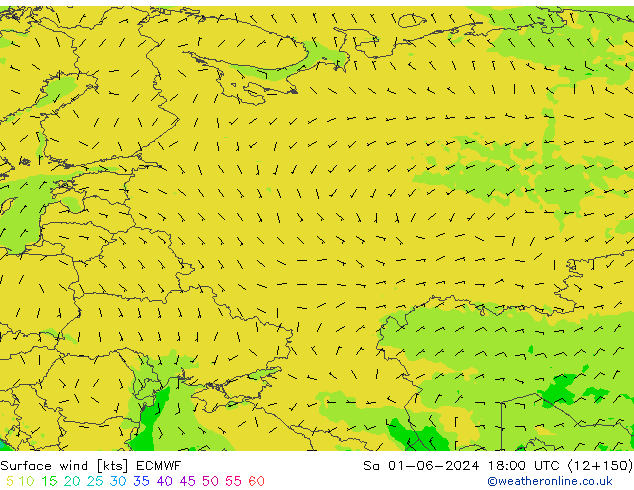 Rüzgar 10 m ECMWF Cts 01.06.2024 18 UTC