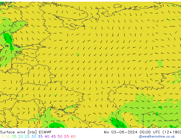 Rüzgar 10 m ECMWF Pzt 03.06.2024 00 UTC