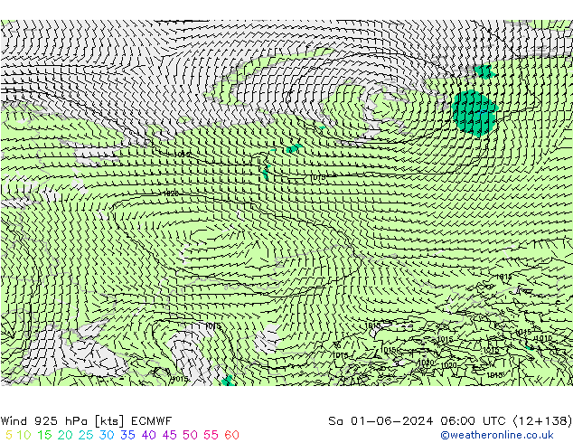 ветер 925 гПа ECMWF сб 01.06.2024 06 UTC