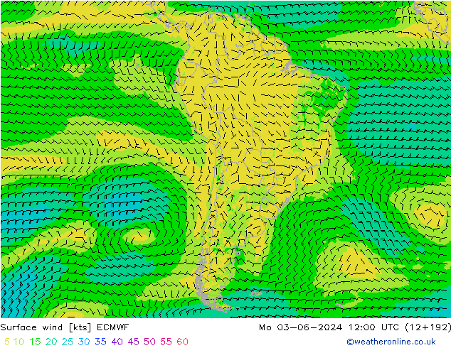 Vento 10 m ECMWF Seg 03.06.2024 12 UTC