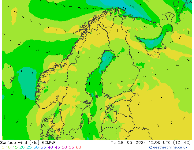 Bodenwind ECMWF Di 28.05.2024 12 UTC